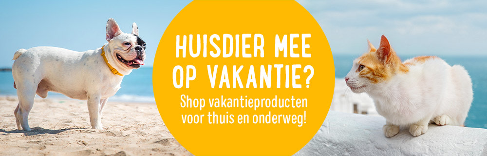 Gaat jouw huisdier mee op vakantie?