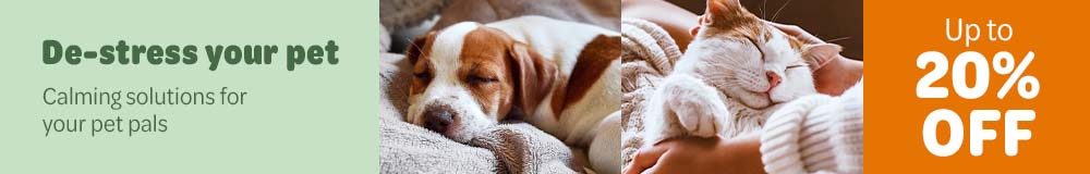 De-stress your pet: calming solutions for your pet pals
