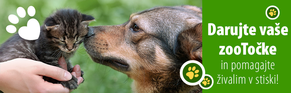 Pomagajte zavetiščem