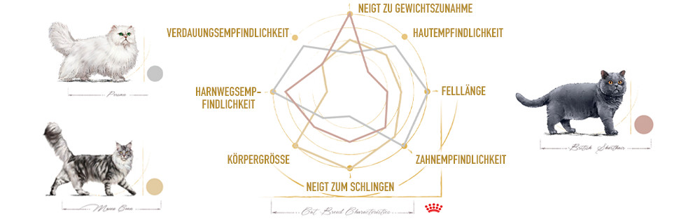 Each breed has specific health sensitivities