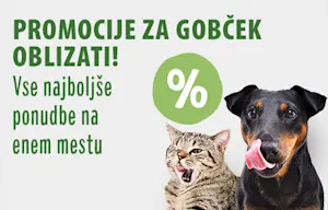 Najboljše ponudbe na enem mestu