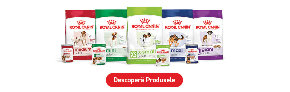 Descoperă Royal Canin Size