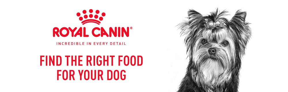 Royal Canin Dog