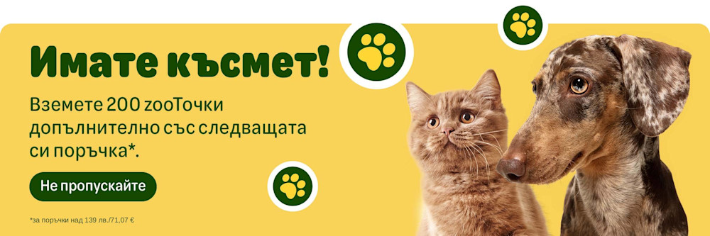 Вземете 200 zooTочки подарък