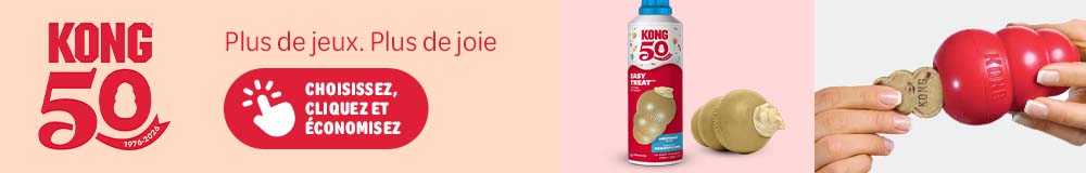 Soldes : jusqu’à -40 % sur les jouets pour chien