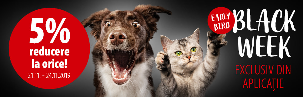 5% reducere la orice!