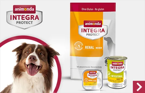 Boîtes et croquettes Integra animonda pour chien