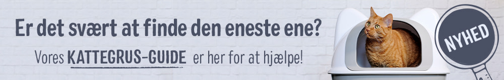 Cat Litter Advisor Top Banner