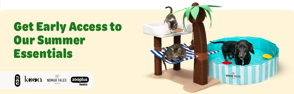 Summer Sales: up to 15% off on dogs and cats accessories