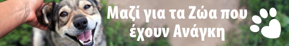 ΜΑΖΙ ΓΙΑ ΤΑ ΖΩΑ ΠΟΥ ΕΧΟΥΝ ΑΝΑΓΚΗ