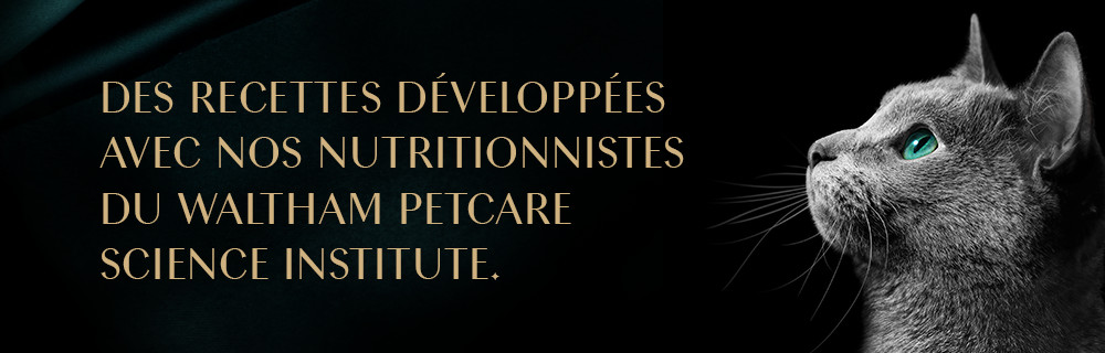 Comment résister ?