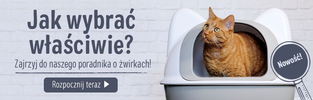 Jaki żwirek wybrać?