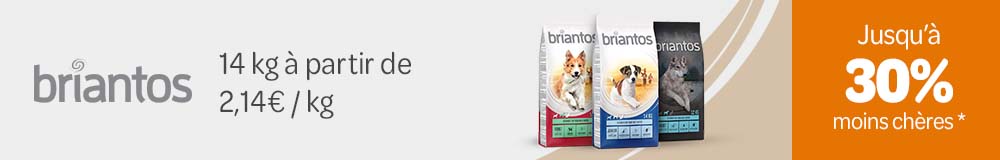 Briantos : alimentation pour chien