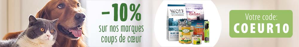 10 % de remise sur nos marques coups de cœur