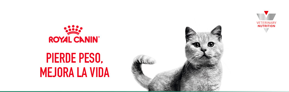Royal Canin Weight Management para gatos