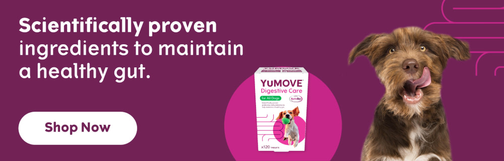 YuMOVE Digestive Care