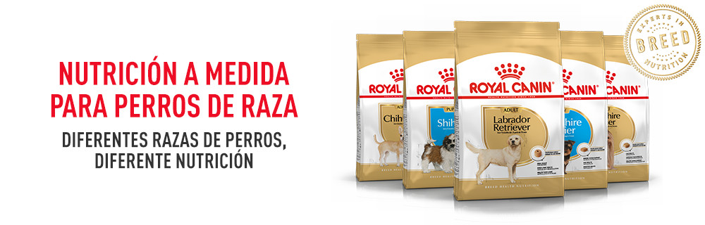 Royal Canin Breed perros