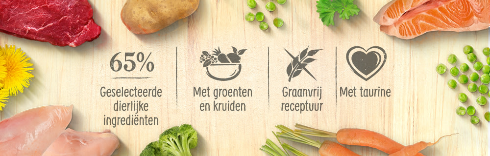 Feringa claims