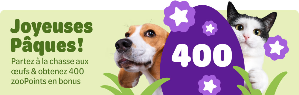 Joyeuses Pâques ! Partez à la chasse aux œufs & obtenez 400 zooPoints en bonus !