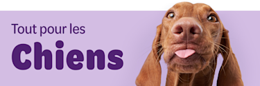 Tout pour les Chiens