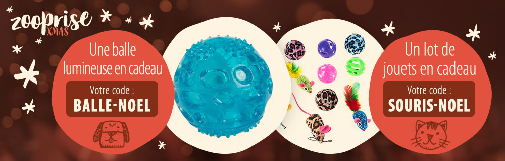 Découvrez votre cadeau et profitez de nos offres sur la nourriture et les accessoires !