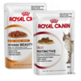 Comida húmida Royal Canin gatos
