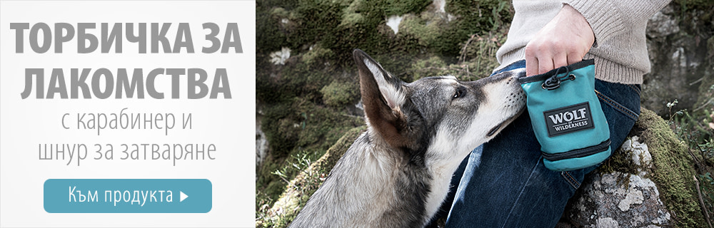 Торбичка за лакомства