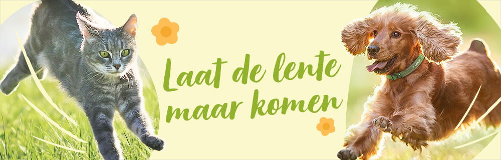 Laat de lente maar komen