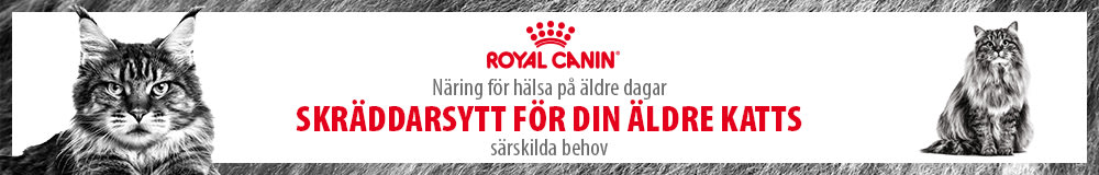 Royal Canin Senior