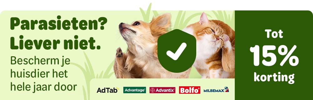 NL Local banner 15%