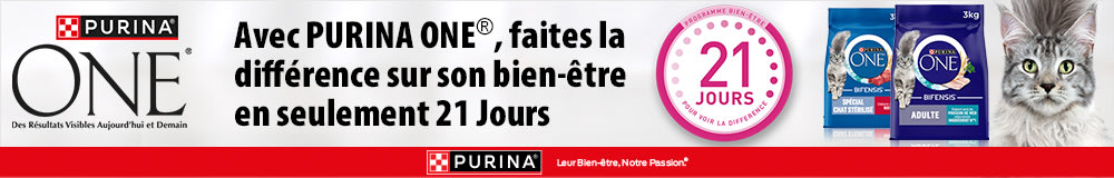 Purina One 21 jours
