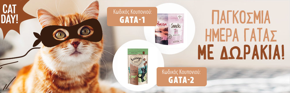 🐱 Παγκόσμια Ημέρα Γάτας