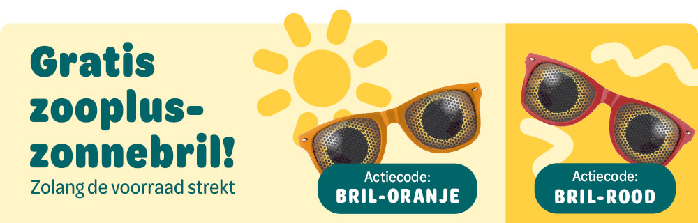 zomer brillen