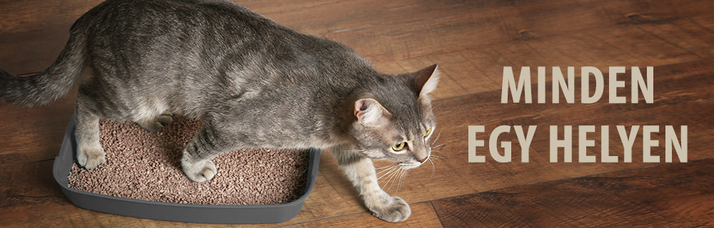 zooplus macskaalom útmutató