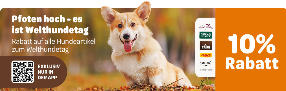 Pfoten hoch- es ist Spartag! Rabatt auf alle Hundeartikel zum Welthundetag, 10% Rabatt in der App