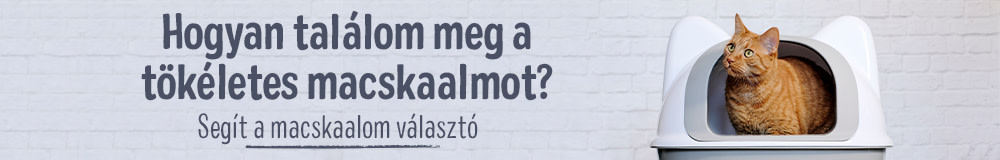 Macskaalom választó