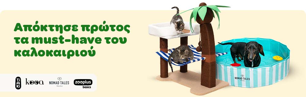 Απόκτησε πρώτος τα must-have του καλοκαιριού
