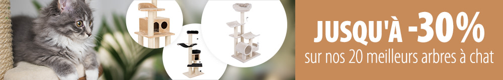 Offres exceptionnelles sur nos 20 meilleurs arbres à chat