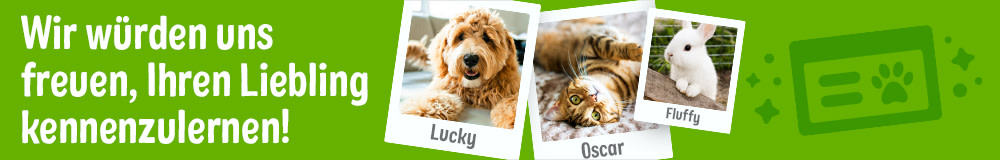 Registrieren Sie Ihr Haustier!