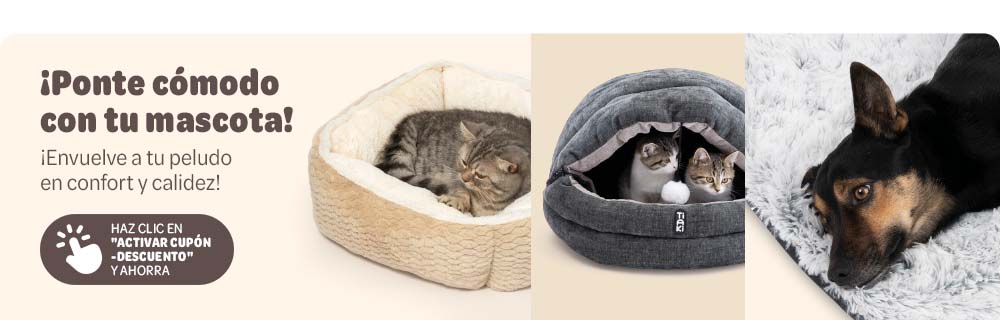 Accesorios cálidos y cómodos para el frío: hasta 20 % de descuento para perros y gatos
