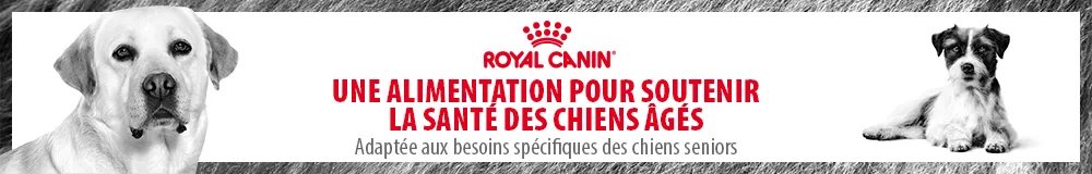 Nourriture pour chien senior Royal Canin