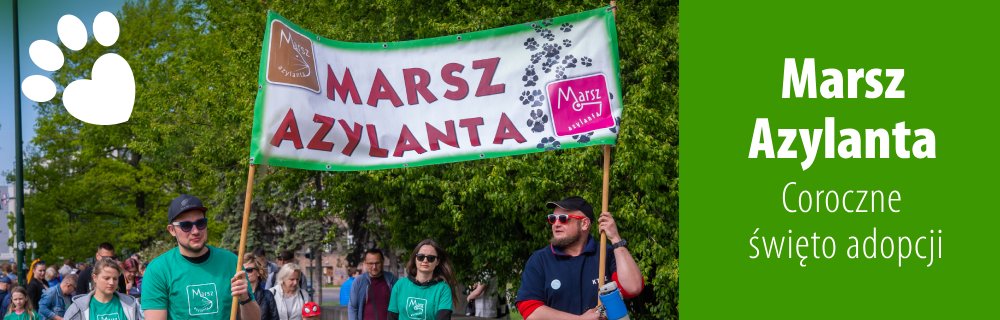 Marsz Azylanta baner