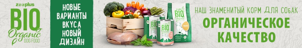 Bio корм для собак