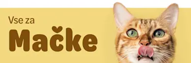 Vse za Mačke