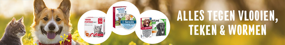 Ongediertebestrijding