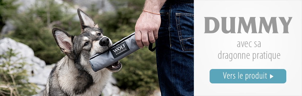 Wolf of Wilderness - Dummy