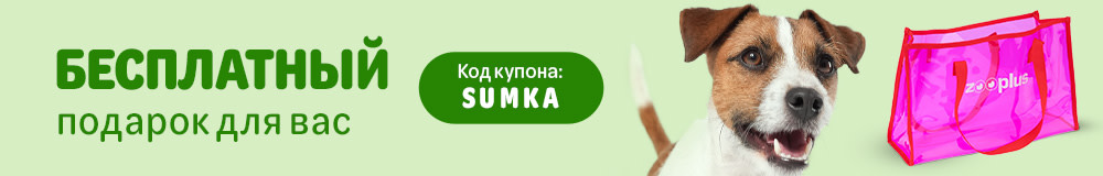 Сумка в подарок!