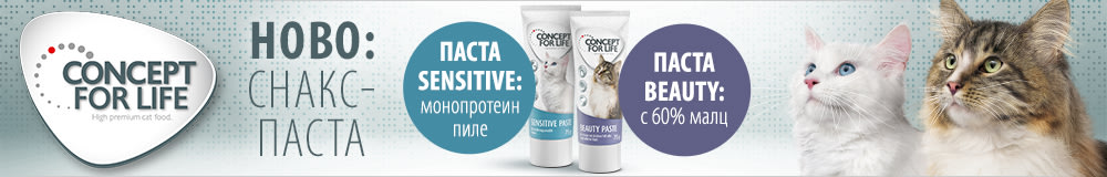 Concept for Life Paste