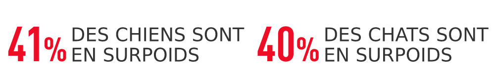 Royal Canin Veterinary Weight Management