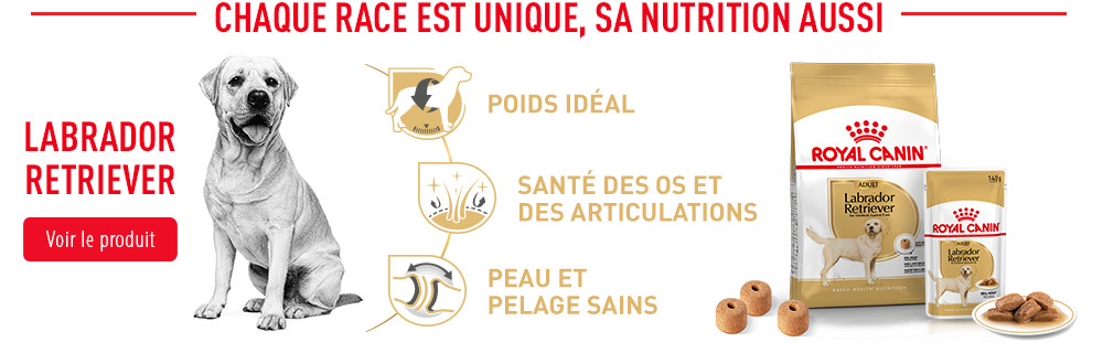 Royal Canin Breed Nutrition Subpage - Middle banner Labrador Retriever - Image